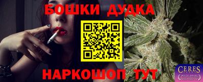 винт Тара