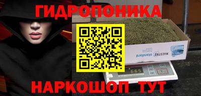 винт Тара