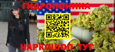 крисы Татарск